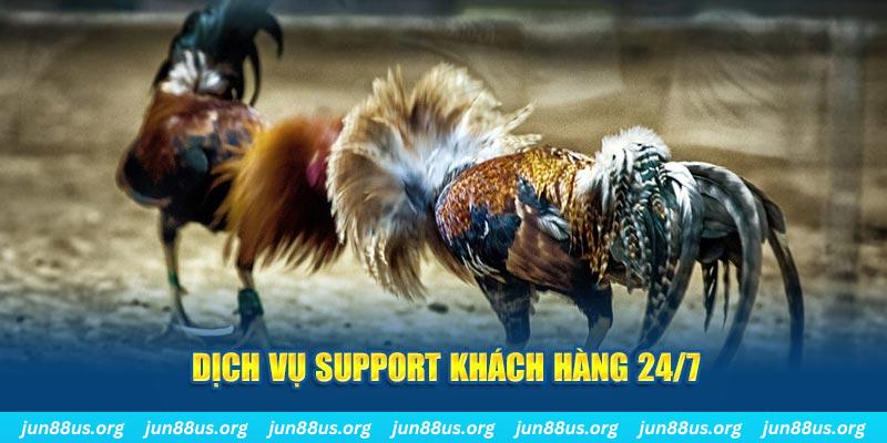 qq888 game xếp bài trên máy tính
