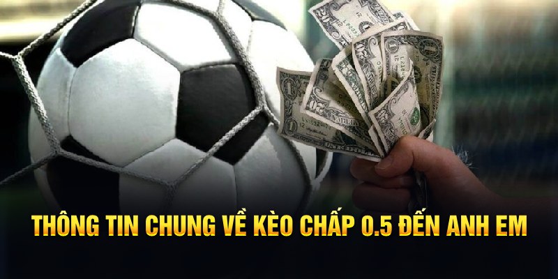 qq888 nổ hũ b29 là gì