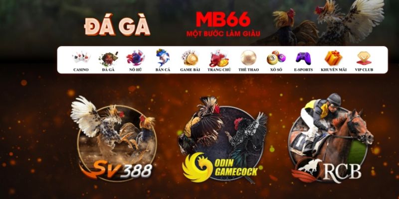 qq888 what is casino bonus wagering