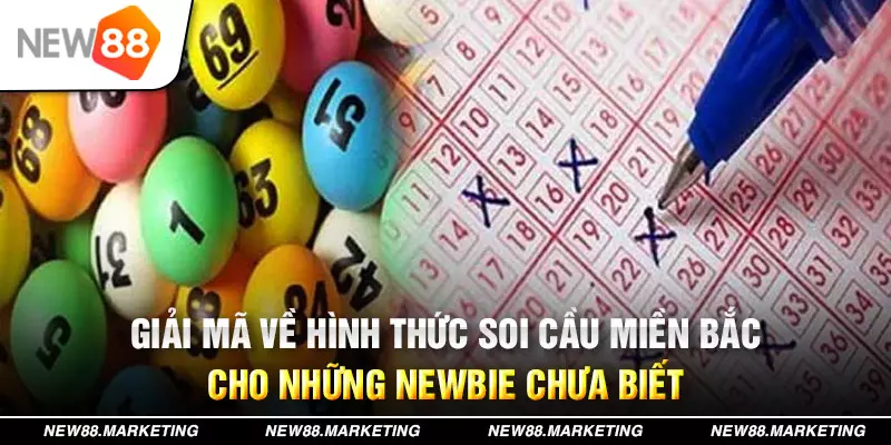 qq888 đăng nhập tiến lên miền nam miễn phí