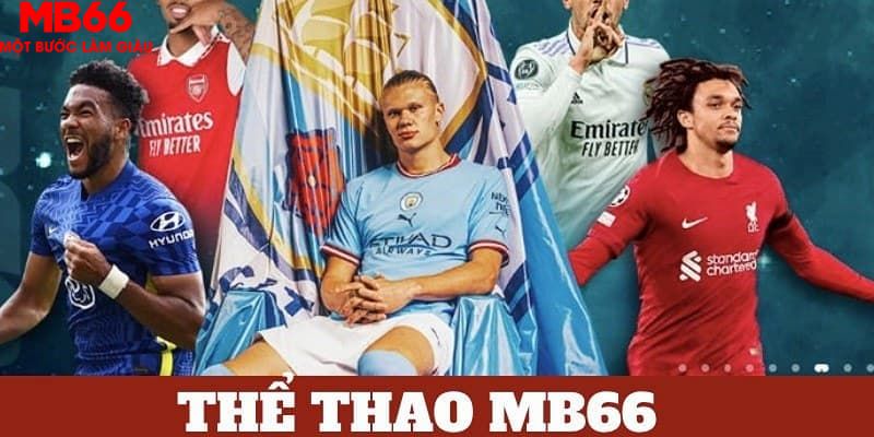 qq888 bản tình ca mùa đông