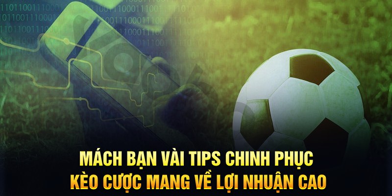 qq888 đăng nhập phỏm hàng đầu