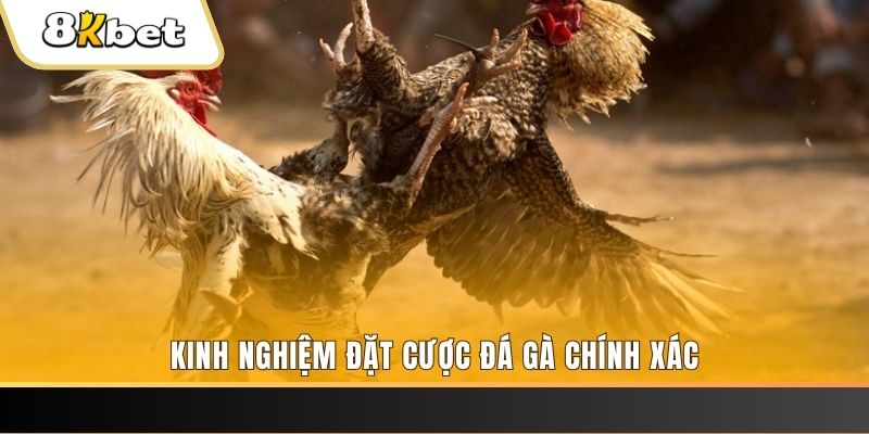 qq888 xổ số thứ bảy hàng tuần