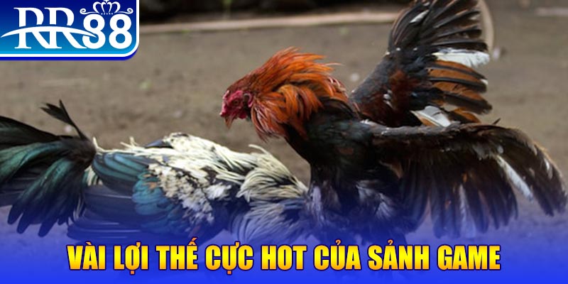 qq888 xổ số quảng nam