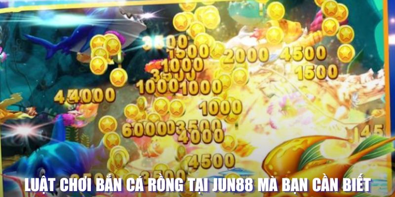 qq888 xổ số đài hà nội