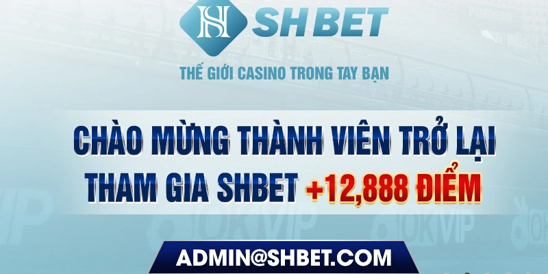 qq888 789bet có bao nhiêu sảnh game bài 3d ？