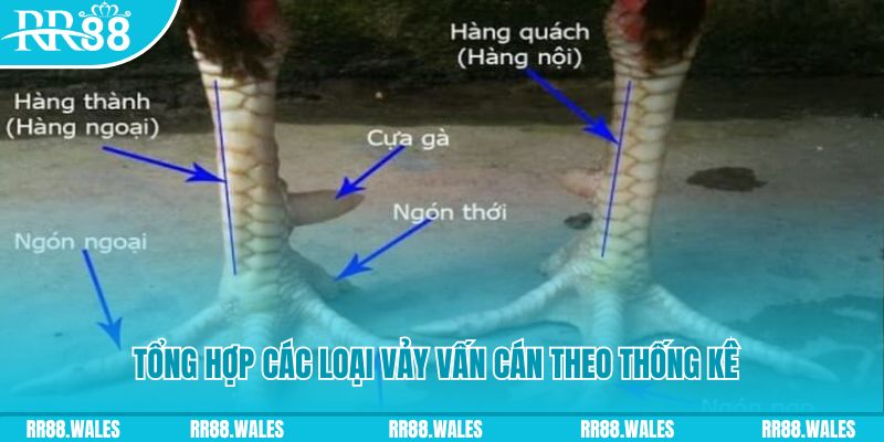 qq888 xổ số miền nam thứ sáu