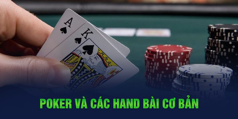 qq888 đá gà cựa dao