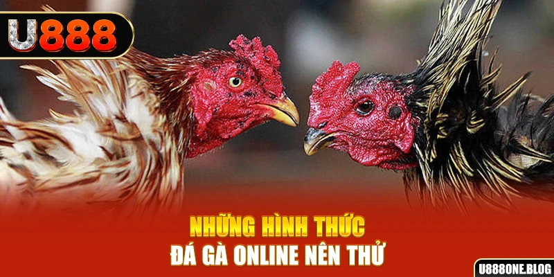 qq888 nổ hũ ai là gì