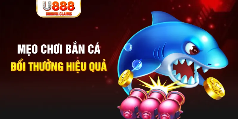 qq888 gà chọi cam ranh