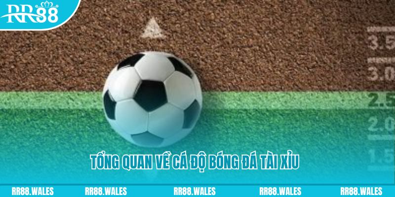 qq888 đăng nhập roulette online