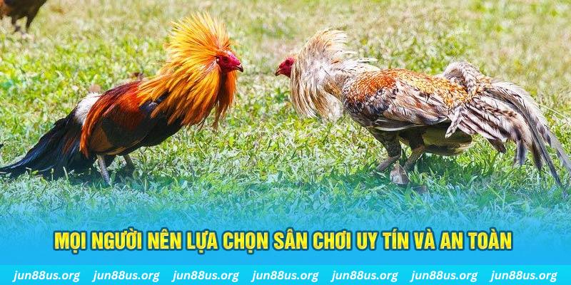 qq888 Cỡ bảy