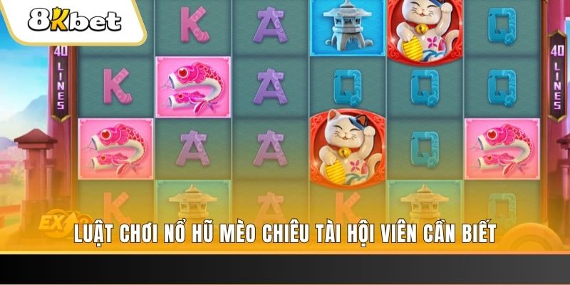 qq888 gà chọi cu cần