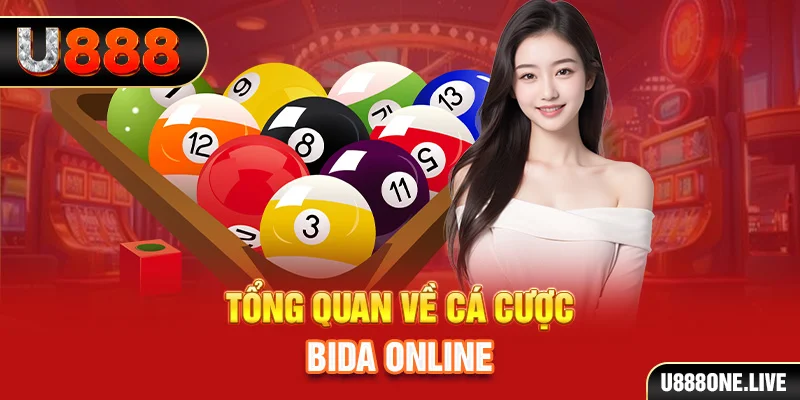 qq888 xem xổ số miền bắc