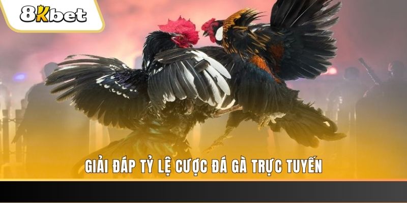 qq888 ban ca online