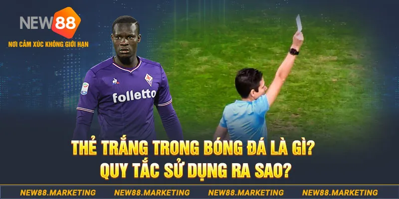 qq888 đăng nhập sòng bạc hôm nay