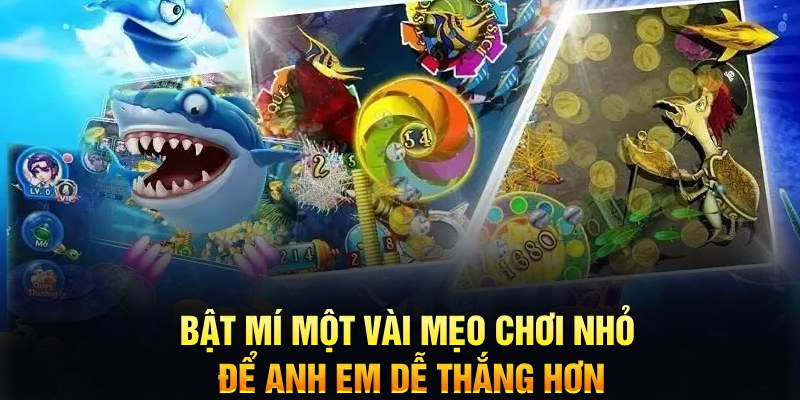 qq888 xổ số thứ ba