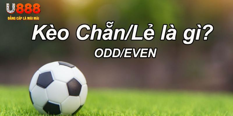 qq888 đăng nhập sòng bạc 2024