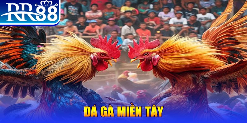 qq888 xổ số miền bắc thứ bảy