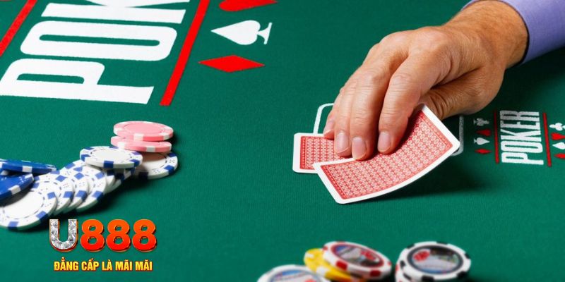 qq888 đá gà 88