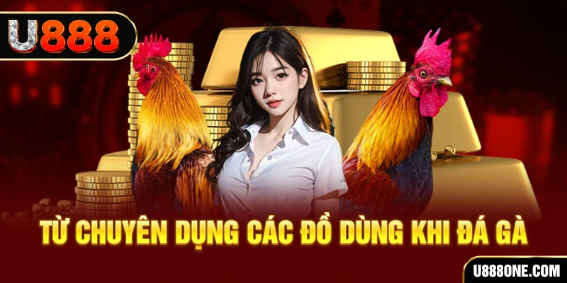 qq888 đá gà trực tiếp campuchia